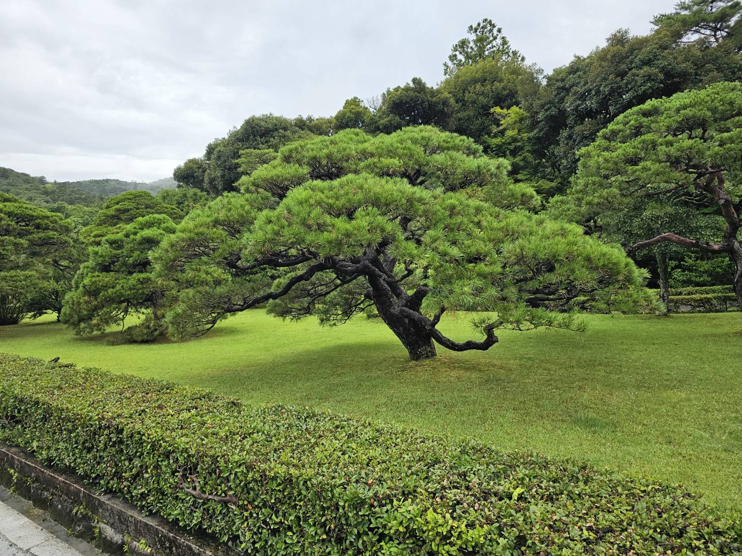 伊勢神宮