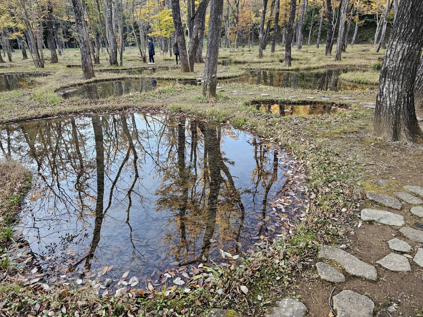 水庭 - 那須 