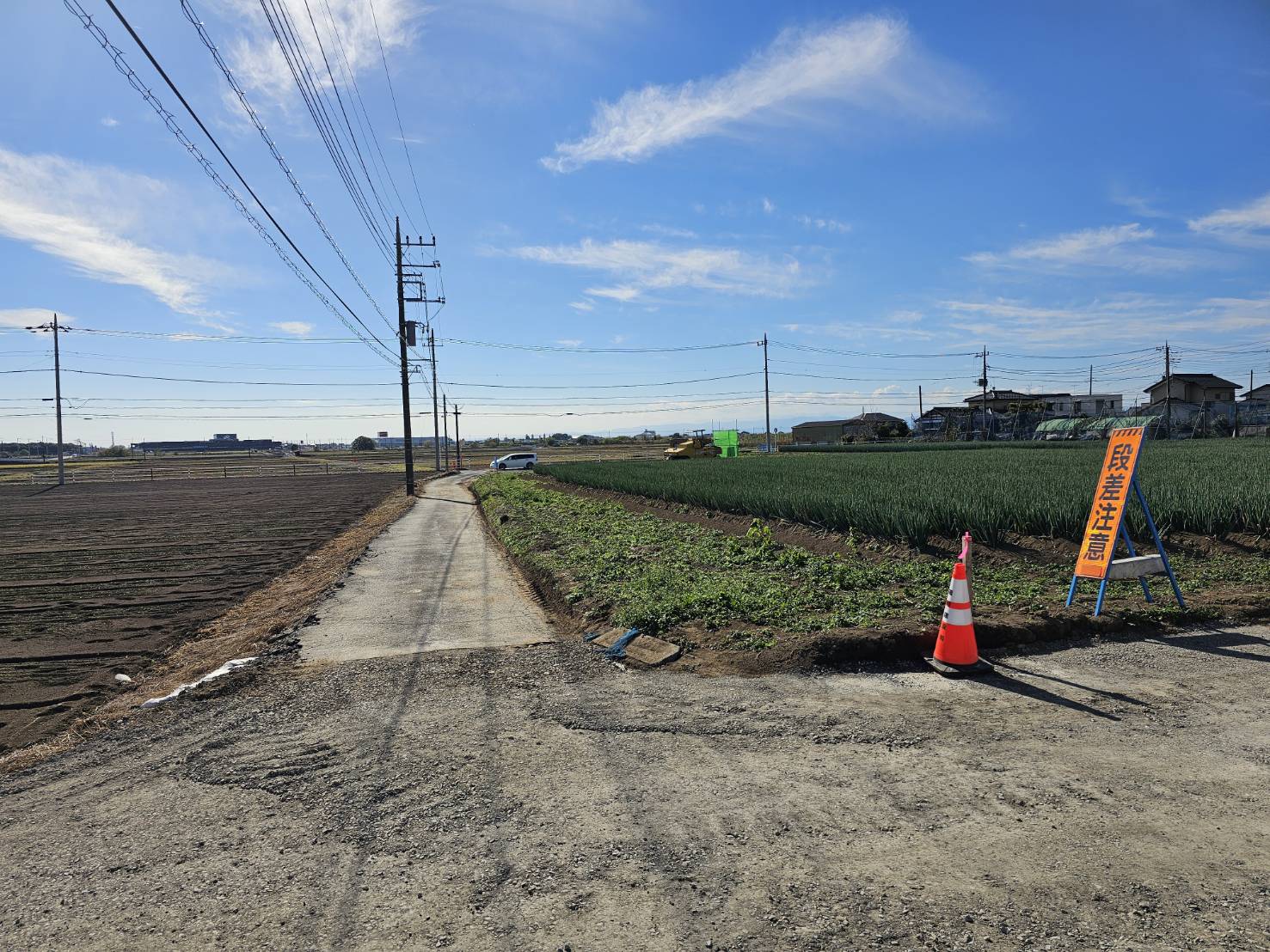天ぷら 車 群馬県館林市