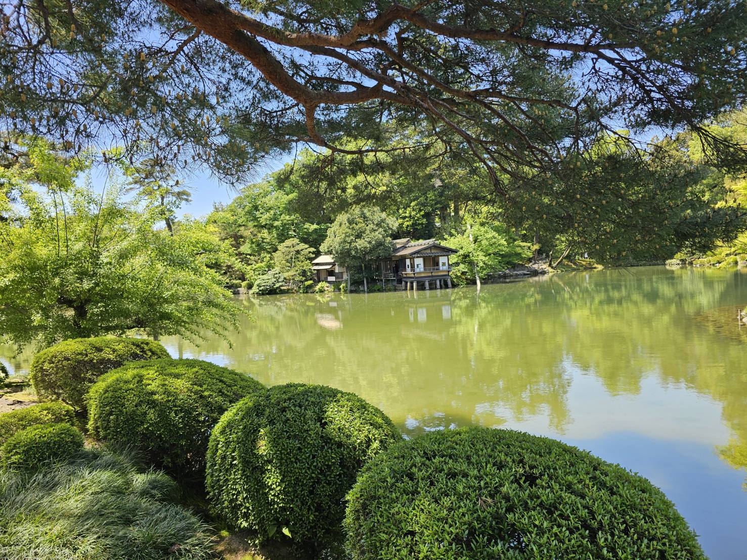 兼六園