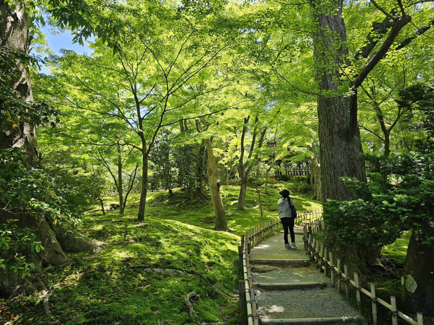 兼六園