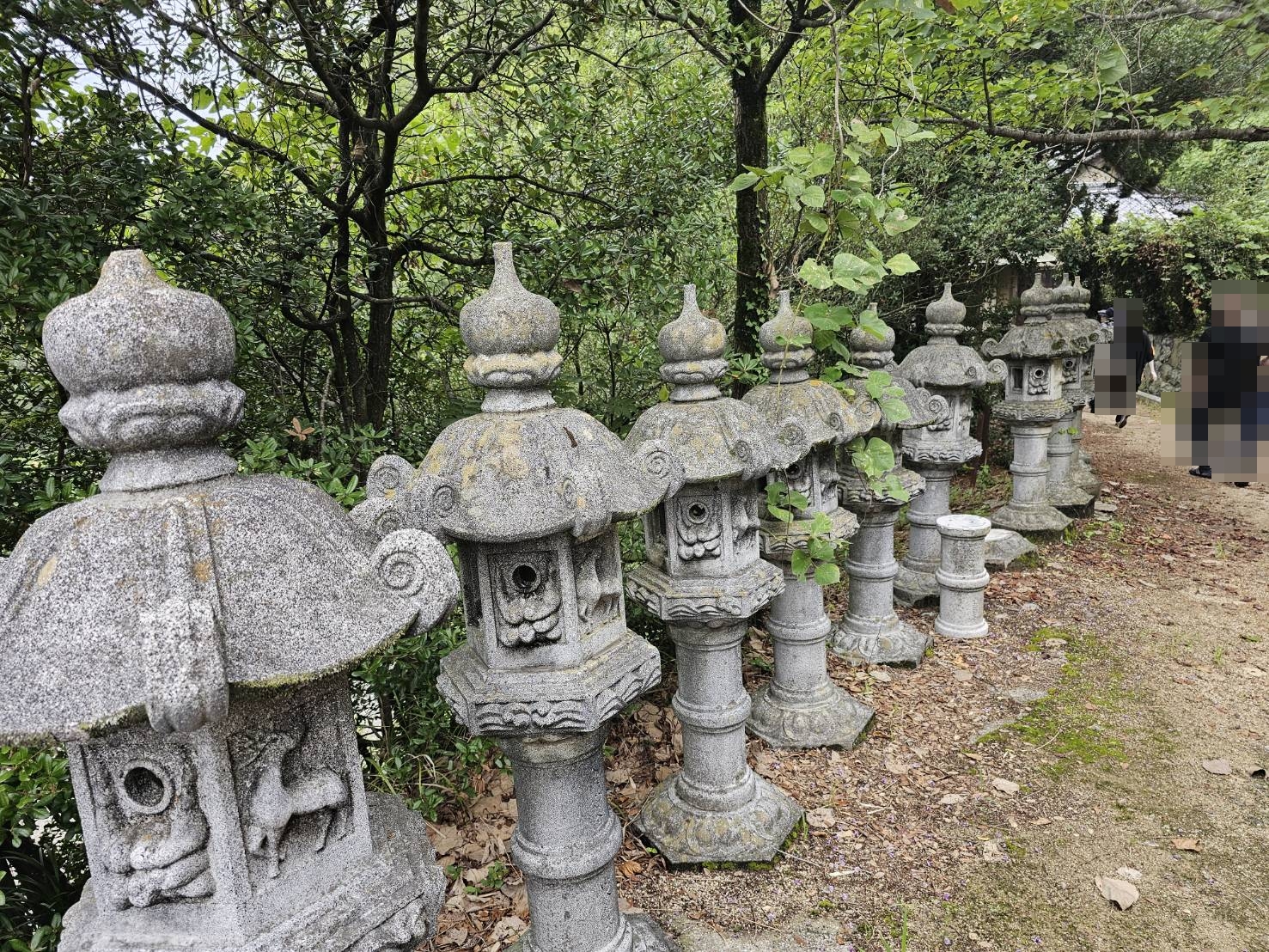 guntû（ガンツウ） 旅行日記