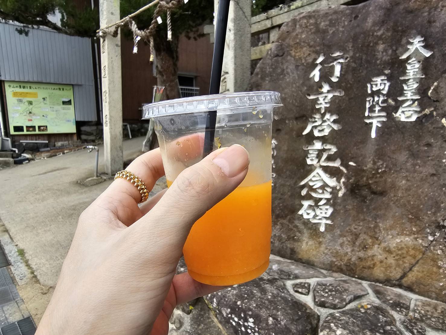 guntû（ガンツウ） 旅行日記