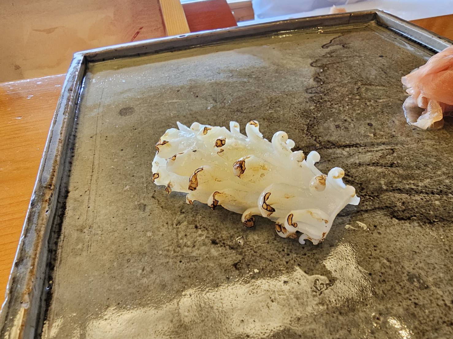 guntû（ガンツウ） 旅行日記