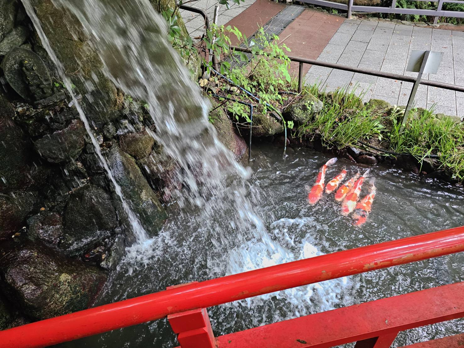 南蔵院 涅槃像