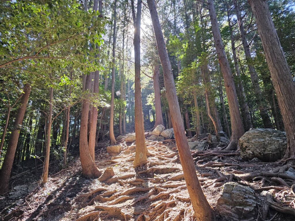 弓立山 登山