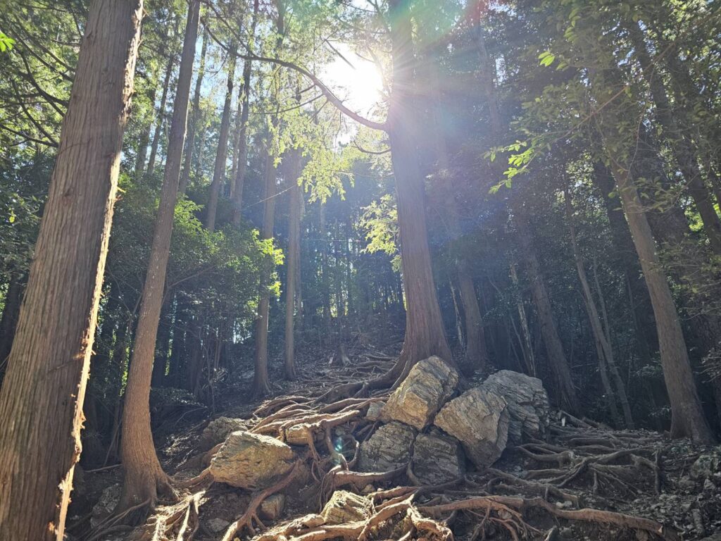 弓立山 登山