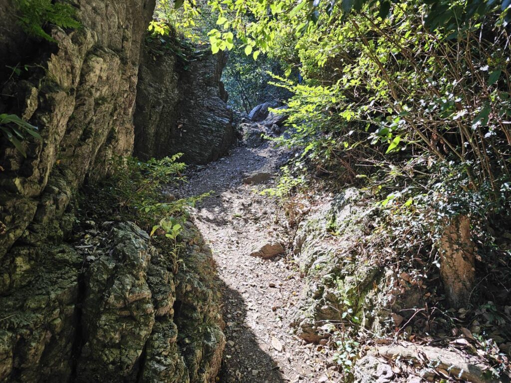 弓立山 登山