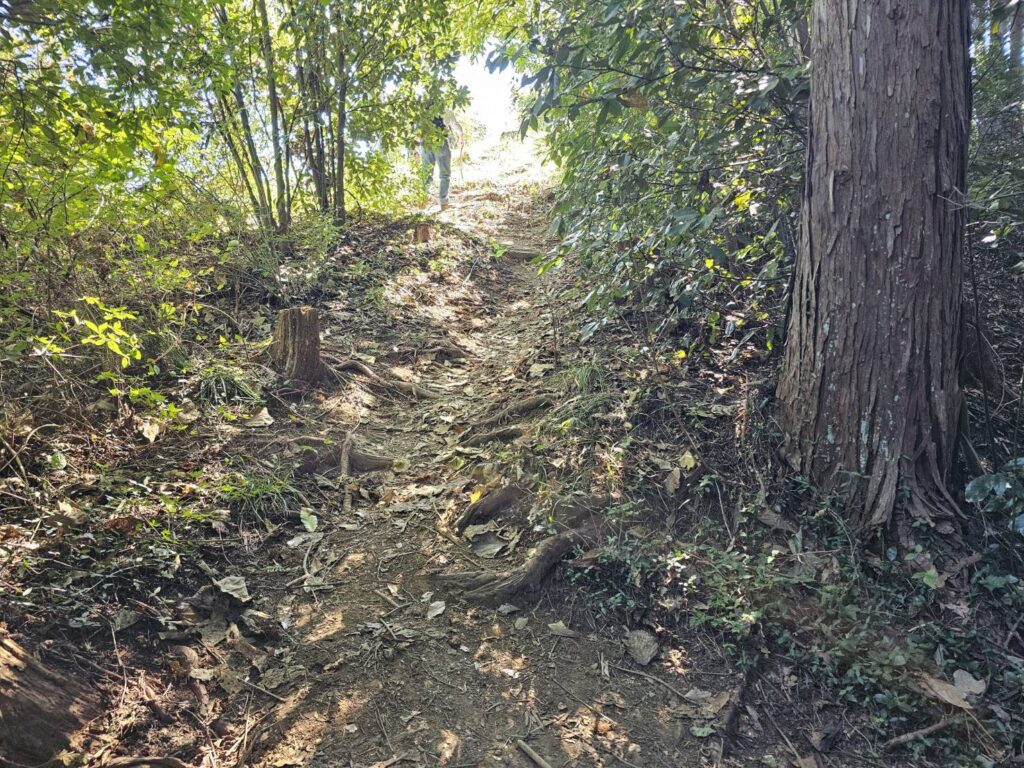 弓立山 登山